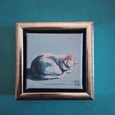 Slapende en opgekrulde witte kat op licht blauwe achtergrond