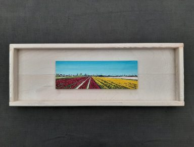 schilderijtje met tulpenvelden in rood, geel en wit