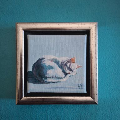 Slapende en opgekrulde witte kat op licht blauwe achtergrond