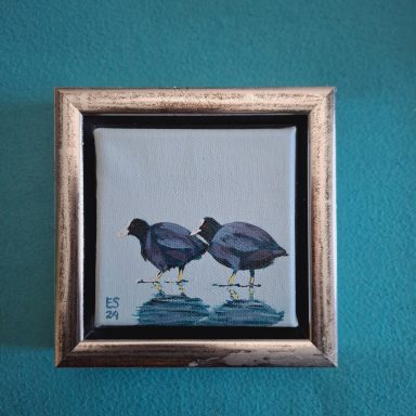 2 meerkoeten op een lichtblauwe achtergrond die naar links lopen