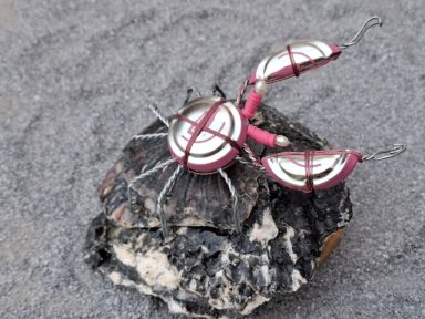 krabje van een champagnedop op een Hollands oesterschelp